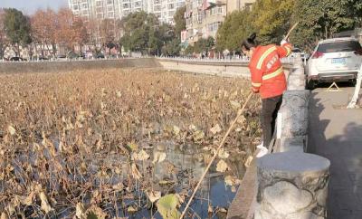 干净整洁迎元旦 蔡甸城市环境清洁火热进行中