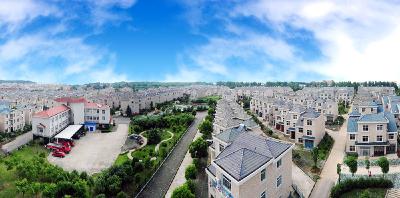 蔡甸区：党建引领聚民心 联村发展促振兴