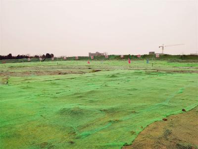 建筑垃圾怎么管？蔡甸区经验获武汉市推广