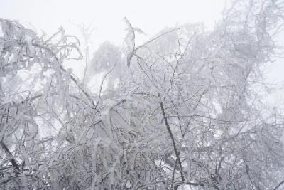 蔡甸人注意！大到暴雪要来了