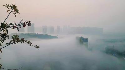 最高气温仅4℃！蔡甸2022年第一场雪要来了