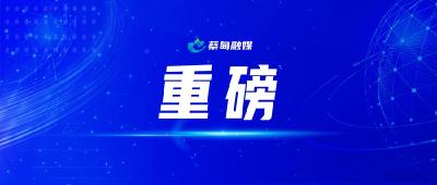 蔡甸未来可期 武汉市重磅规划出炉！