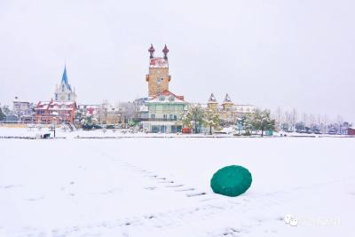 美绝了！蔡甸各景区雪景大合集