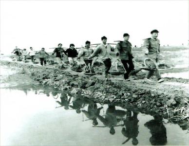  入选全国第二批！蔡甸桐湖农场志编纂即将启动