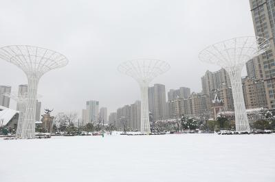 大雪来袭！节后上班第一天 雪花来拜年