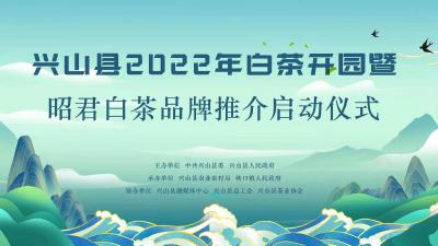 兴山县2022年白茶开园暨昭君白茶品牌推介启动仪式
