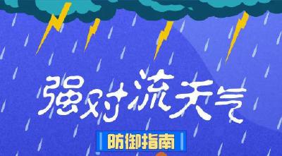 雷电大风+暴雨+冰雹，蔡甸人注意防范！