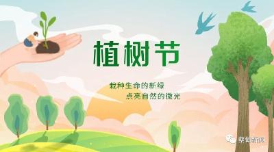 嵩阳林场义务植树3月6日起报名！阳光正好，一起来植树吧