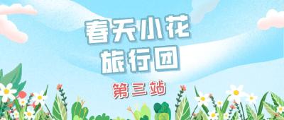 春天小花旅行团 | 第三站-九真山