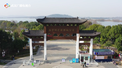 武汉之眼丨这个春天，徜徉后官湖！