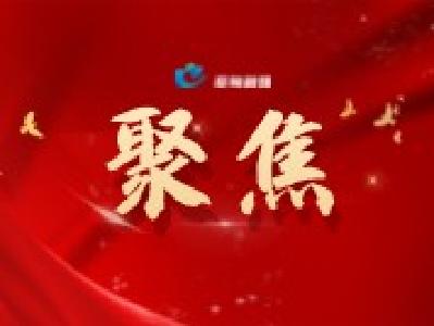 全年4000余次报道！央省市媒体多角度聚焦蔡甸