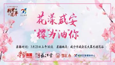 荆楚花开│花漾咸安 “樱”为“油”你
春风有信 花开有期