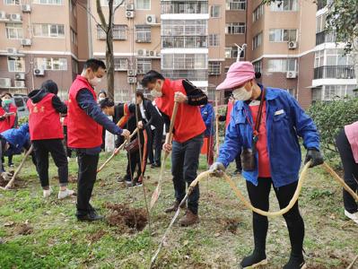 植树正当时丨蔡甸：植生机绿树，建美丽家园