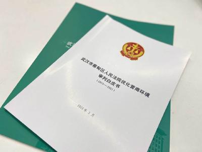 蔡甸法院发布武汉首份司法服务优化营商环境审判白皮书