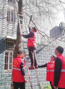 “橄榄绿”变身“志愿红”  蔡甸社区志愿服务注入新力量