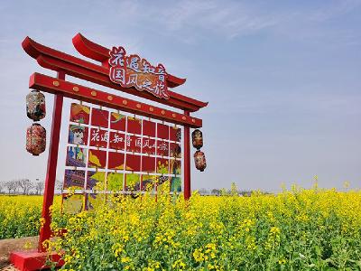 绝美！“国风”遇上油菜花  游客竞相前往打卡