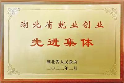  喜报！蔡甸区两家单位获湖北省就业创业先进集体称号