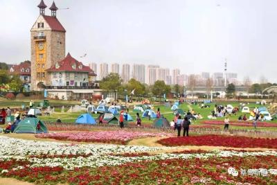 春游、踏青、搭帐篷......在蔡甸，和春天撞个满怀！