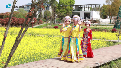 春天小花旅行团第四站——十里莲华