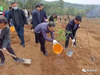 蔡甸区纪委监委机关为共建村种下油茶致富苗