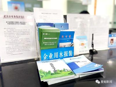 优化营商环境 蔡甸这一改革获评省级先进试点