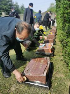 蔡甸退役军人清明祭英烈颂英魂