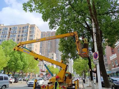  树枝“越界”遮挡路灯 蔡甸园林部门迅速修剪