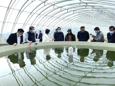 深考察 大走访 清华海峡院组团助推蔡甸乡村振兴
