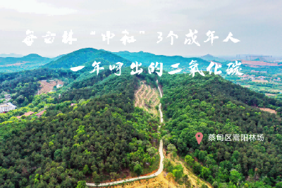 世界地球日丨带您走进武汉首批碳中和林——蔡甸嵩阳林场 
