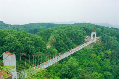 免票、半价！明天蔡甸这些景区邀你“惠”玩