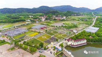领航新时代 | 蔡甸：芳香产业激活乡村振兴“美丽经济”