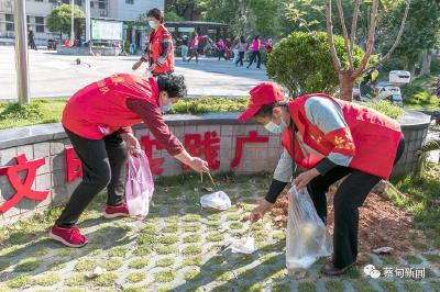 蔡甸志愿者见“圾”行事 共建清洁社区