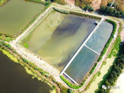 生态文明 | 蔡甸：生态治理 朝阳河重焕生态多功能性