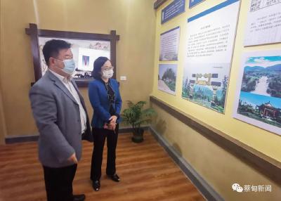蔡甸区人大实地调研《文物保护规定》实施情况