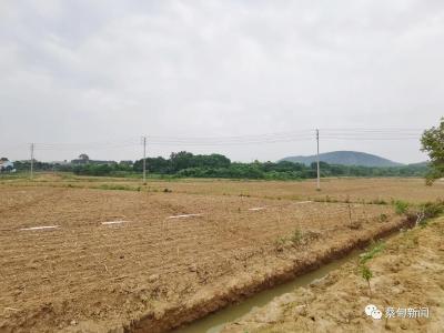 谁还敢乱占耕地？耕地保护要出硬措施，四个方面严控严查