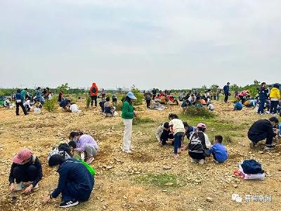 蔡甸村落罕见遛娃潮，古生物化石群落引市民“寻宝”