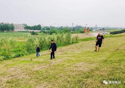 筑牢防汛安全大堤 蔡甸打好备汛“主动仗”