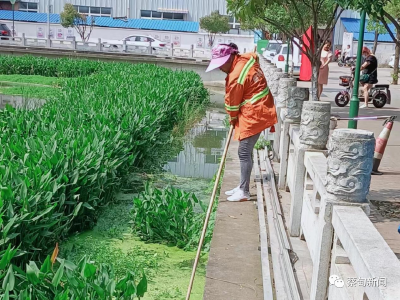 打好湖泊“保洁战” 让蔡甸湖水更清澈