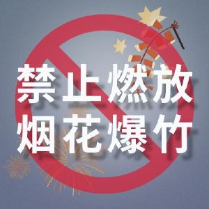 武汉市蔡甸区人民政府关于全面禁止燃放烟花爆竹的通告