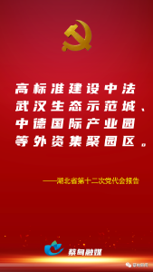 湖北省第十二次党代会报告提出：高标准建设中法武汉生态示范城、中德国际产业园等外资集聚园区