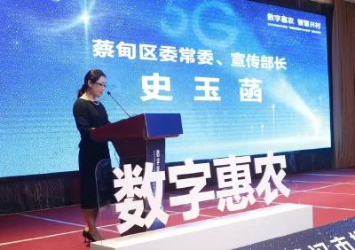 蔡甸区网信赋能数字乡村建设经验向全市推广
