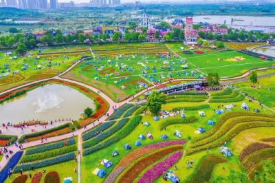 火出圈！武汉花博汇入选湖北十大热门露营地