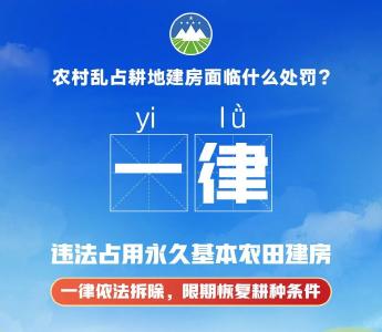 农村乱占耕地建房“十个一律”