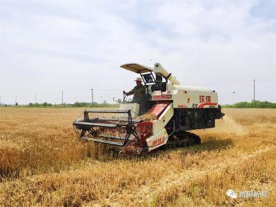 蔡甸区自然资源和规划局：以省级交流学习为契机 加强耕地保护工作