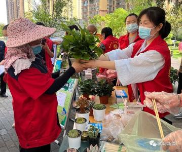 蔡甸：烟头换绿植 “花式”倡导绿色生活