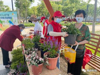 烟头换绿植 蔡甸区园林和林业局“花式”倡导绿色生活