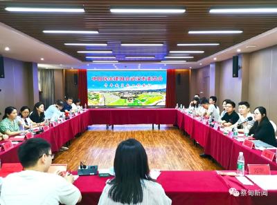 凝心聚力 贡献民建武汉市委员会青年委员会力量
