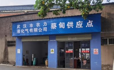蔡甸公交调整、琴川大道进度... ...这些问题都有新回应
