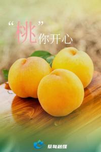 令人“桃”醉！蔡甸这里的桃子熟啦！快来摘吧~