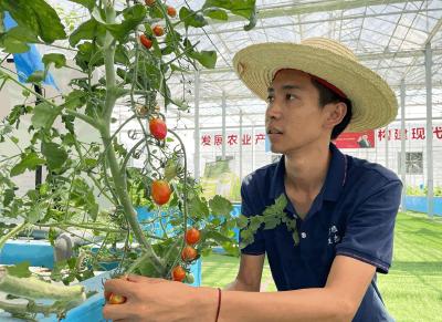 23岁云南小伙扎根蔡甸乡村做“新农人”：中国的田要有人来种
